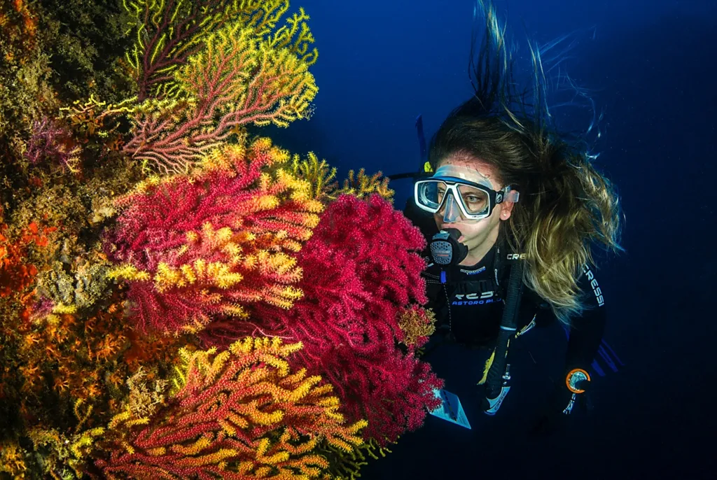 Scuba Diving